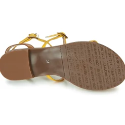 JB Martin - GRIOTTES Discount