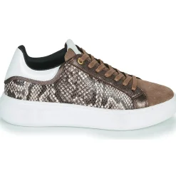 Hot JB Martin - HIBISCUS MIXPYTHONMARRON