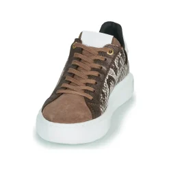 Hot JB Martin - HIBISCUS MIXPYTHONMARRON