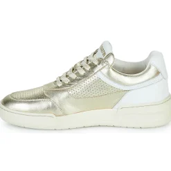 JB Martin - HIRA Online