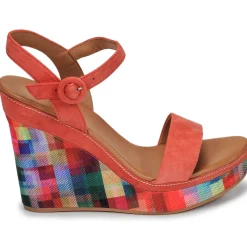 JB Martin - LIVE Multicolor Best