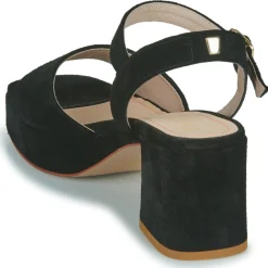 JB Martin - ORIA CROUTEVELOURSNOIR