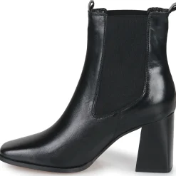 JB Martin - PALMA Veaunoir