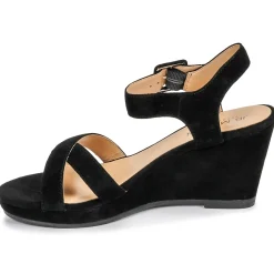 JB Martin - QUERIDA Noir Online