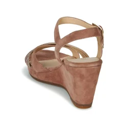 JB Martin - QUOLIDAYS Camel Hot