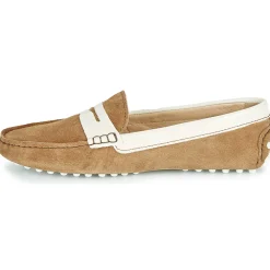 Outlet JB Martin - TABATA Marron