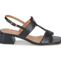 JB Martin - VIOLAINE NAPPANOIR