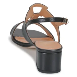 JB Martin - VIOLAINE NAPPANOIR