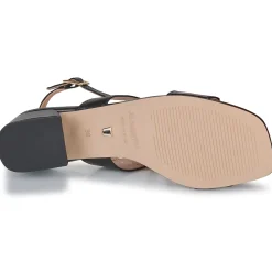 JB Martin - VIOLAINE NAPPANOIR