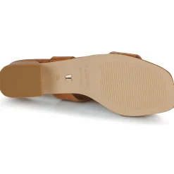 JB Martin - VIOLAINE