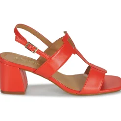 Best JB Martin - VITALIE NAPPACORAIL