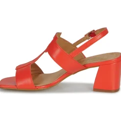 Best JB Martin - VITALIE NAPPACORAIL