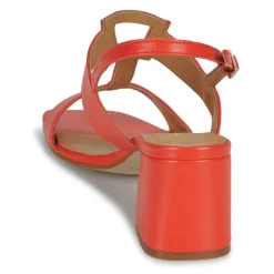 Best JB Martin - VITALIE NAPPACORAIL