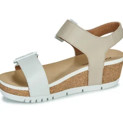 Josef Seibel - QUINN 02