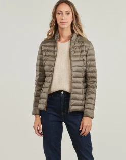 JOTT - CHA Taupe New