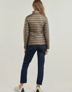 JOTT - CHA Taupe New