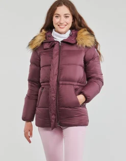 JOTT - LUXE 2.0 Violet New