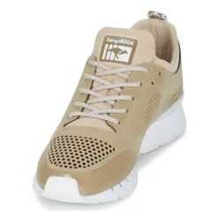 Kangaroos - COIL 2.0 MONO