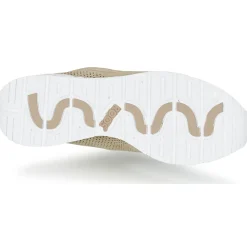 Kangaroos - COIL 2.0 MONO