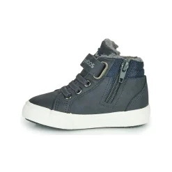 Kangaroos - KAVU I Marine Online