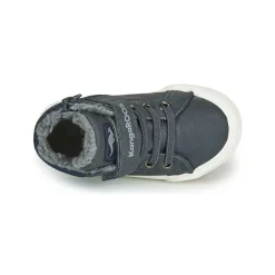 Kangaroos - KAVU I Marine Online