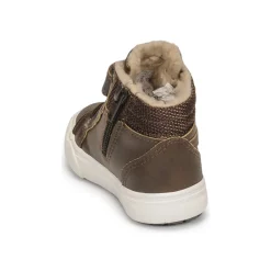 Kangaroos - KAVU III