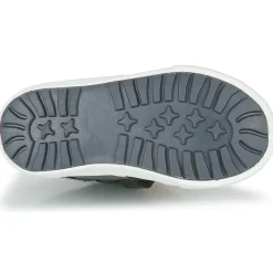 Kangaroos - KAVU PRIMO