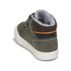 Kangaroos - KAVU PRIMO V