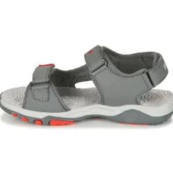 Kangaroos - K-CELTIC