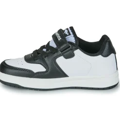 Kangaroos - K-CP Fair EV