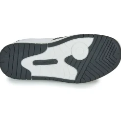 Kangaroos - K-CP Fair EV