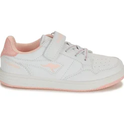 Kangaroos - K-CP Fresh EV Hot