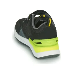 Kangaroos - KD-GYM EV