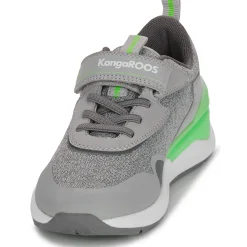 Kangaroos - KD-Gym EV