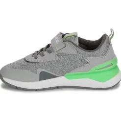 Kangaroos - KD-Gym EV