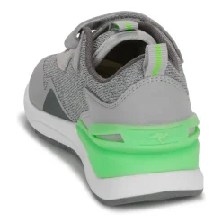 Kangaroos - KD-Gym EV