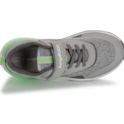 Kangaroos - KD-Gym EV