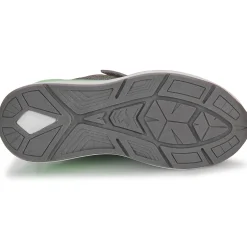 Kangaroos - KD-Gym EV