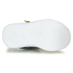 Kangaroos - KI-ROCK LITE EV