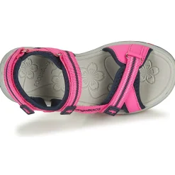 Hot Kangaroos - K-LENI Rose