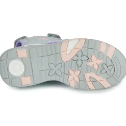 Online Kangaroos - K-Leni Nova