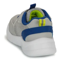 Kangaroos - K-NY Chip EV