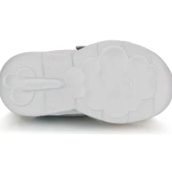 Kangaroos - K-NY Chip EV