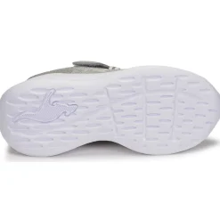 Kangaroos - KQ-FLEET EV Online