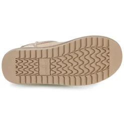 Kangaroos - K-UW Broome