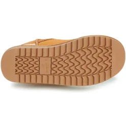 Kangaroos - K-UW Broome