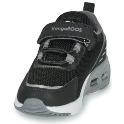 Kangaroos - KX-Arg EV Outlet