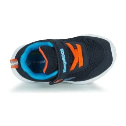 Kangaroos - KY-LILO EV Online