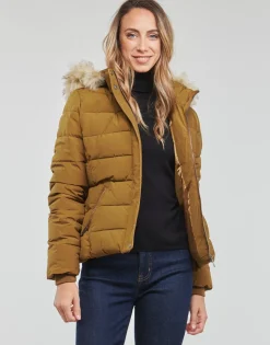 Hot Kaporal - DIBBY Camel