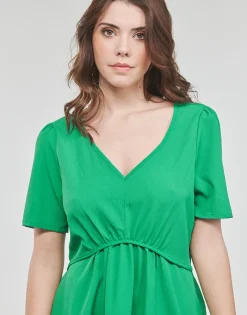 Kaporal - GAEL GARDEN SAFARI